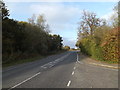 TM1681 : Norwich Road, Thelveton by Geographer