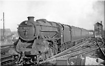 SP3692 : Up Workmen's train at Nuneaton (Trent Valley), WCML 1951 by Ben Brooksbank