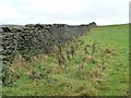 SE0148 : Dry-stone wall, Airshaw Hill by Christine Johnstone