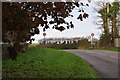 Abbotsham : Country Road