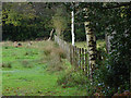 SU9762 : Paddocks near Little Heath by Alan Hunt