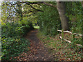 Footpath off Little Heath Road