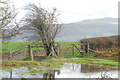SN9927 : Farm gate and windswept tree by John Winder