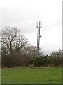 NY0428 : Mobile Phone Mast near Great Clifton by Graham Robson