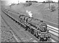 West Coast Main Line at Stoke Hammond, 1960