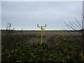 Landing lights, former Blackpool International Airport