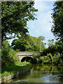 Macclesfield Canal near Ackers Crossing, Cheshire