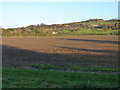 SP0635 : Fields near Laverton by James Allan