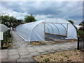 New polytunnel