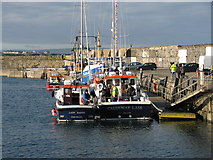 C8540 : Sea-anglers Portrush Harbour by Willie Duffin