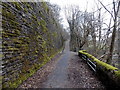 Taff Trail NW of Pont-y-gwaith