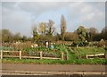 Hauxton allotments