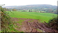 View to Buckholt Hill