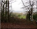 At the top of Darwen Cemetery