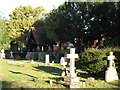 The church of St. Alban the Martyr, Coopersale - churchyard