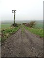 Track westwards from Whitehall Farm