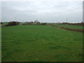 Grazing north of Lytham Road