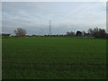 Farmland near Hall Cross