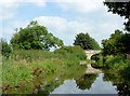 Macclesfield Canal east of Astbury, Cheshire