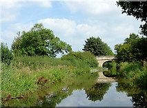 SJ8561 : Macclesfield Canal east of Astbury, Cheshire by Roger  D Kidd