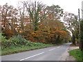 Norwich Road past Hospital Plantation