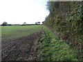 TL7848 : Field Edge View at the Ordnance Survey Triangulation Pillar near King's Wood by Peter Wood