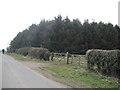 West  Wood  from  Stephenwath  Lane