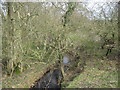 Leppington  Beck  from  road  bridge