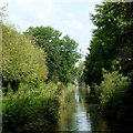 Macclesfield Canal south of Congleton, Cheshire