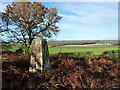 NNE from Puleston Hill