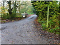 Looking along the track to Norwood Farm