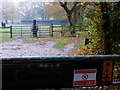 Horses and stables by Horsell Common