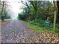 Drive to Manor Farm carrying footpath