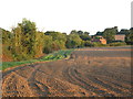 Farmland north of Steward