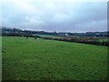 Fields at Lower Hartshay