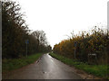 Low Road, Scole Common