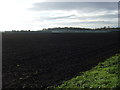 Flat farmland towards greenhouses