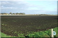 Flat farmland near Crossings Farm