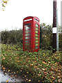 Telephone Box on Scole Common