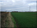 Crop field and pylons