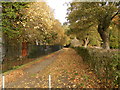 Path to Balgay Park