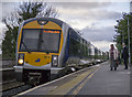 Train, Carnalea Station