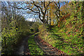 Tracks below Allt Llwyngoras, Bayvil