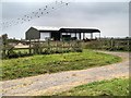 Farm opposite Swarkestone Church