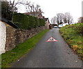 Triangular sign painted on the surface of Nine Wells Road, Berry Hill