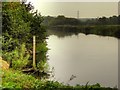 River Trent, Twyford