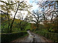 Bridge at Rectory Cross, North Huish