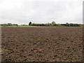 Ploughed field, Dalqueich