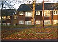 Houses along Sand Hill