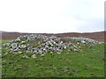 NR3649 : Pile of stones at Upper Leorin, Islay by Becky Williamson
